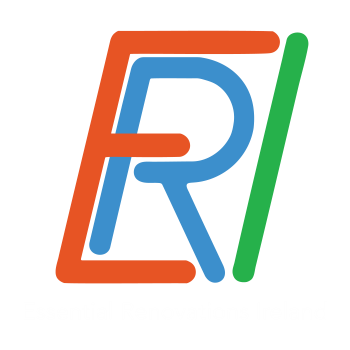 Essential Renovations Ireland